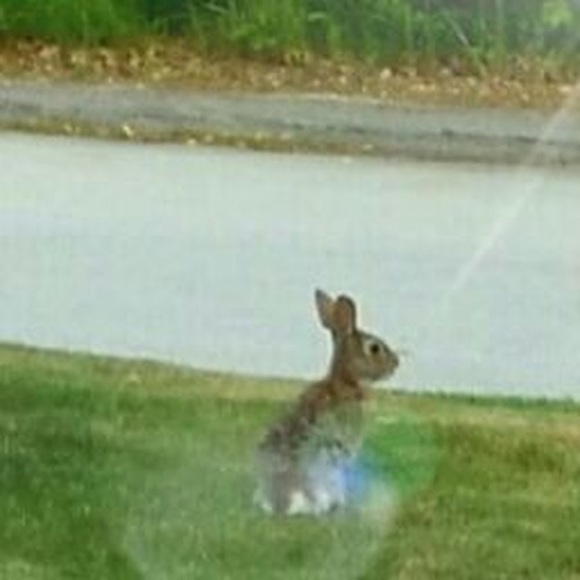 Meet your Posher, Kristi - Picture 1 of 1